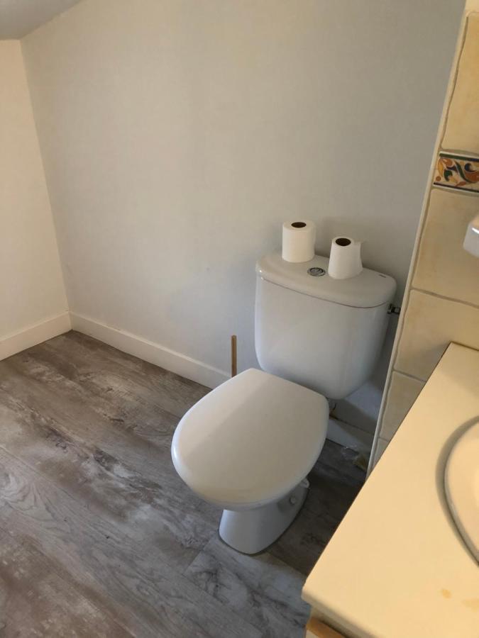 Appartement Cosy Et Lumineux Caussens Bagian luar foto